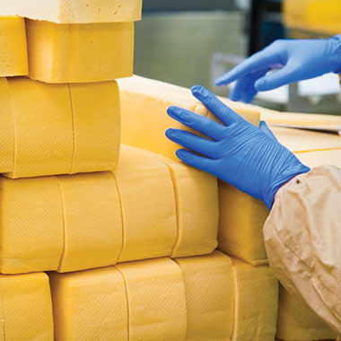 Delavec zloži sir v mlekarni. V mlečni industriji lahko analizatorji TOC pomagajo pri spremljanju odpadnih organskih odpadkov in zmanjševanju izgube proizvodov.